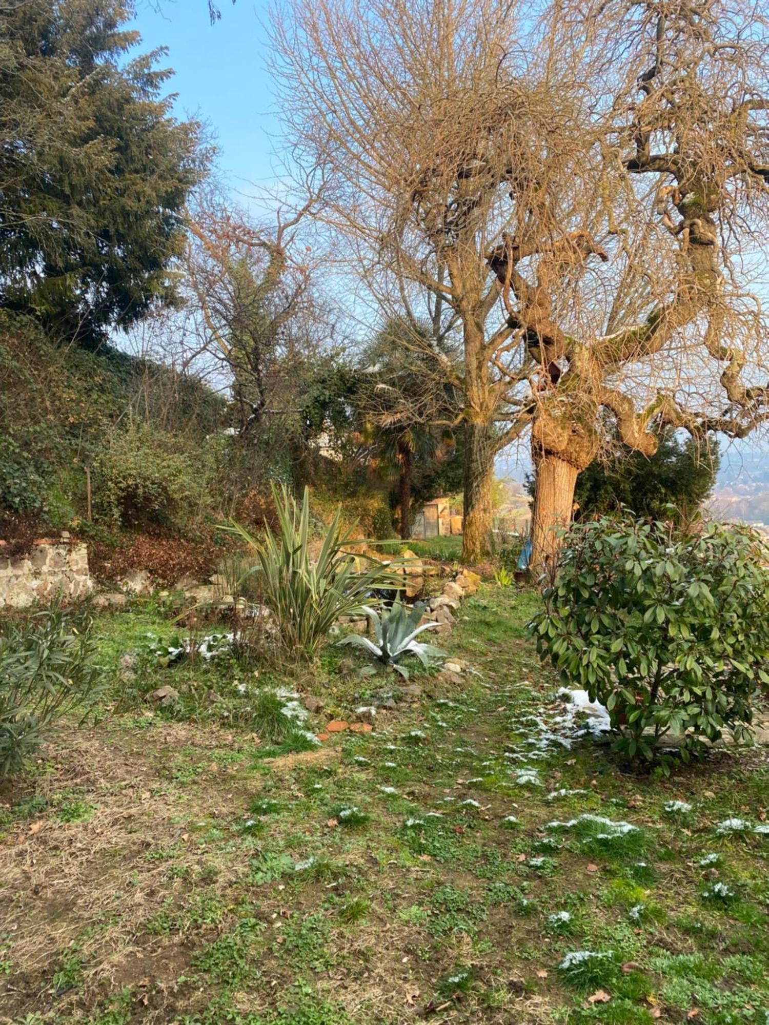 Bed and Breakfast Les Agapanthes Vaux-en-Beaujolais Екстер'єр фото